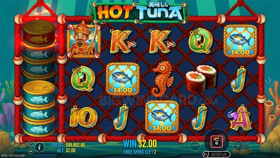 Beginner's guide to sports betting